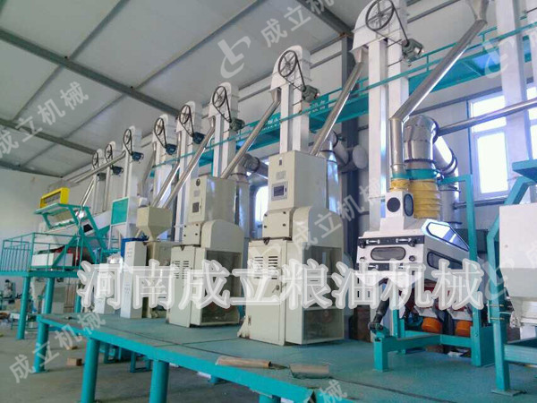 日產80噸小米加工設備