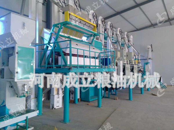 日產60噸小米加工設備